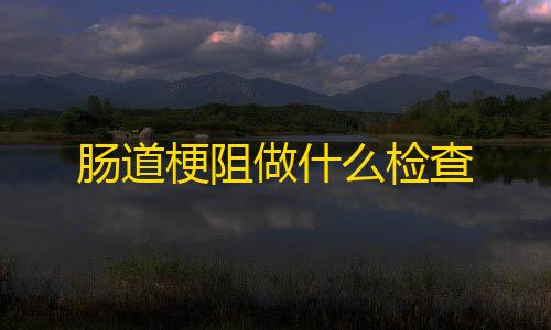 暗区突围辅助器(免费)肠道梗阻做什么检查